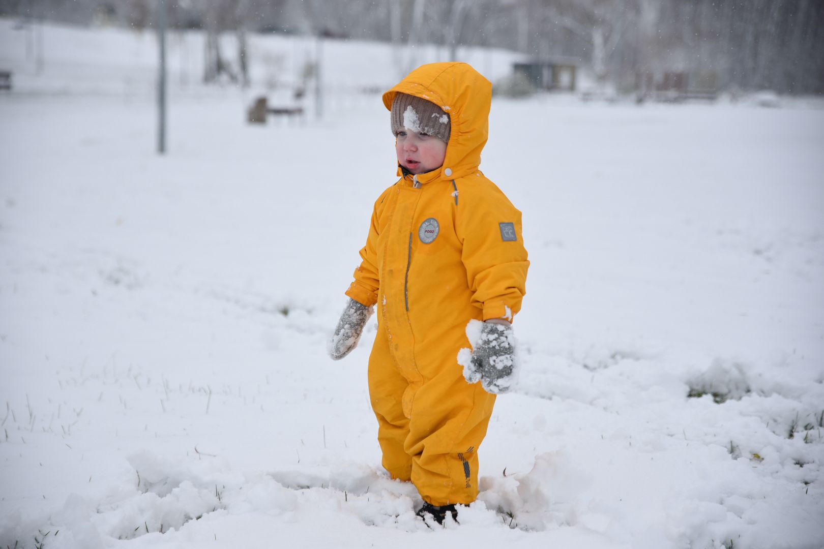 Бронницы, День народного единства, Первый снег, Снеговик в парке Бронницкий Луг, Вертикальное видео, Вертикалка,