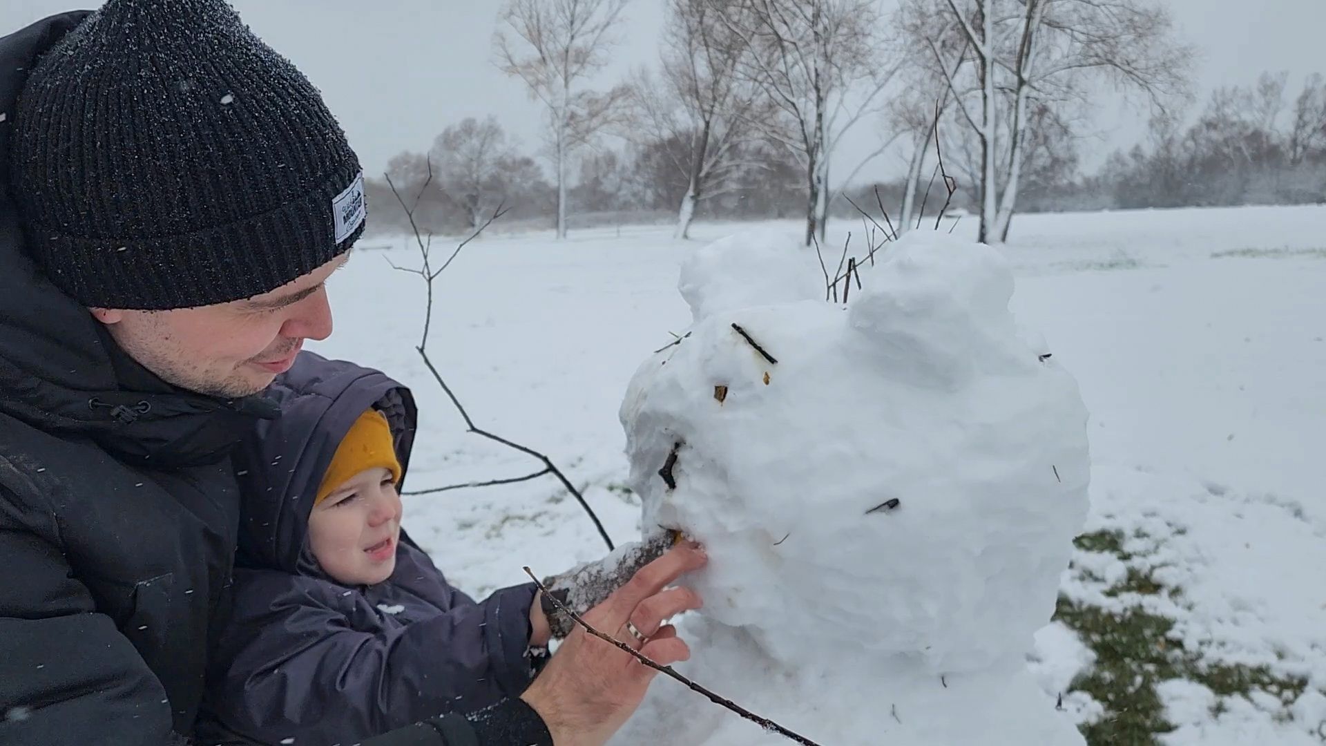 Бронницы, День народного единства, Первый снег, Снеговик в парке Бронницкий Луг, Вертикальное видео, Вертикалка,