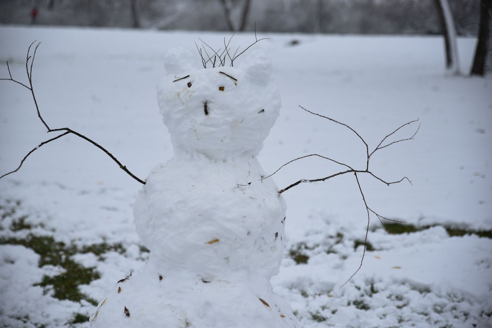 Бронницы, День народного единства, Первый снег, Снеговик в парке Бронницкий Луг, Вертикальное видео, Вертикалка,