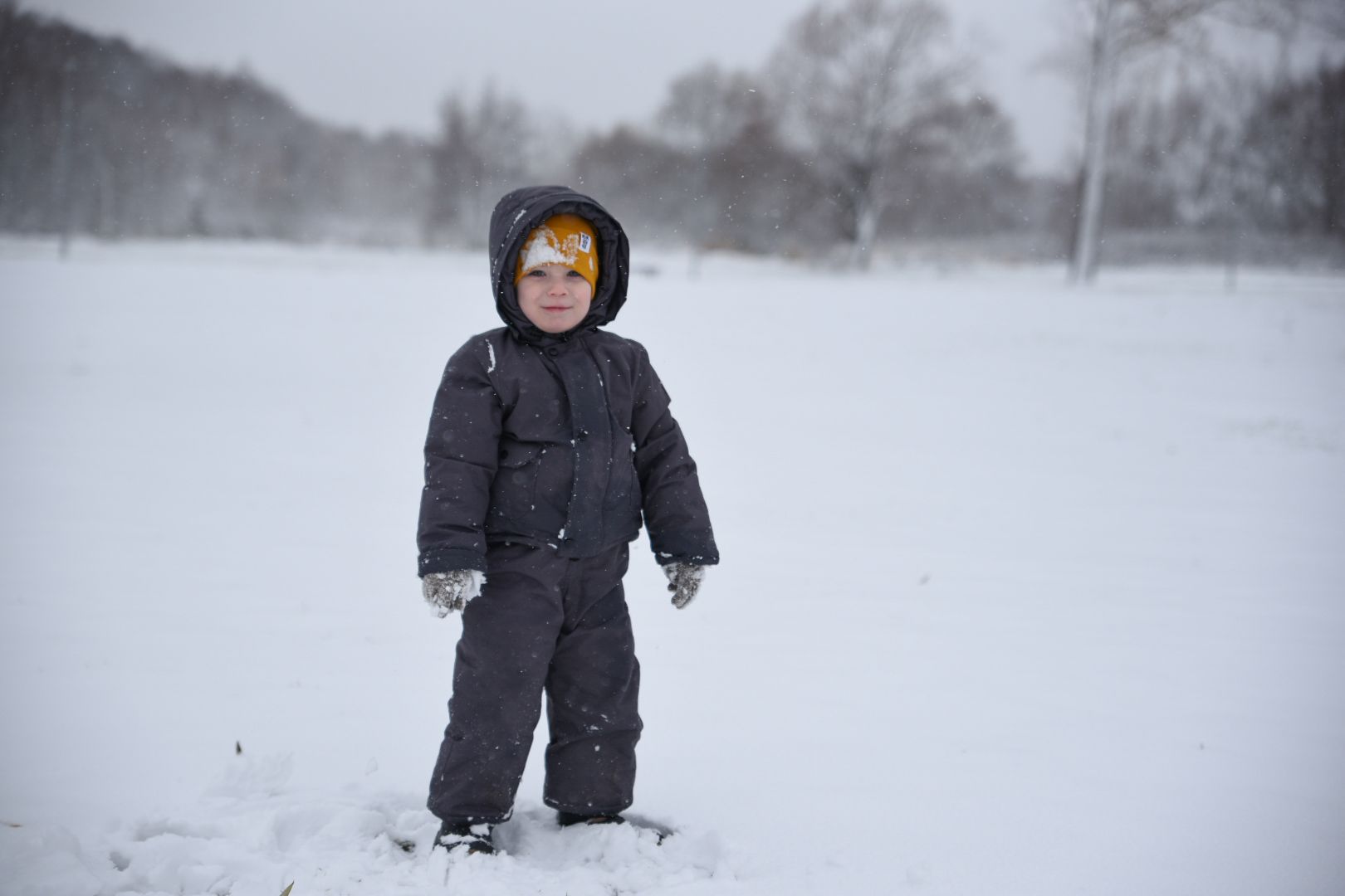 Бронницы, День народного единства, Первый снег, Снеговик в парке Бронницкий Луг, Вертикальное видео, Вертикалка,