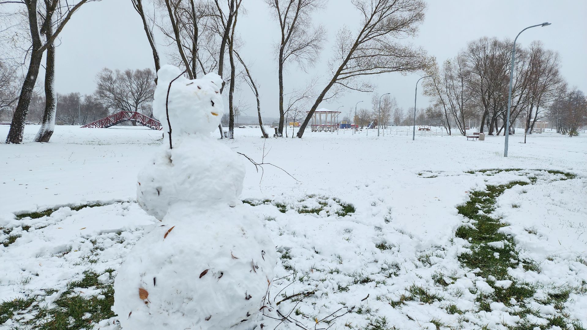 Бронницы, День народного единства, Первый снег, Снеговик в парке Бронницкий Луг, Вертикальное видео, Вертикалка,