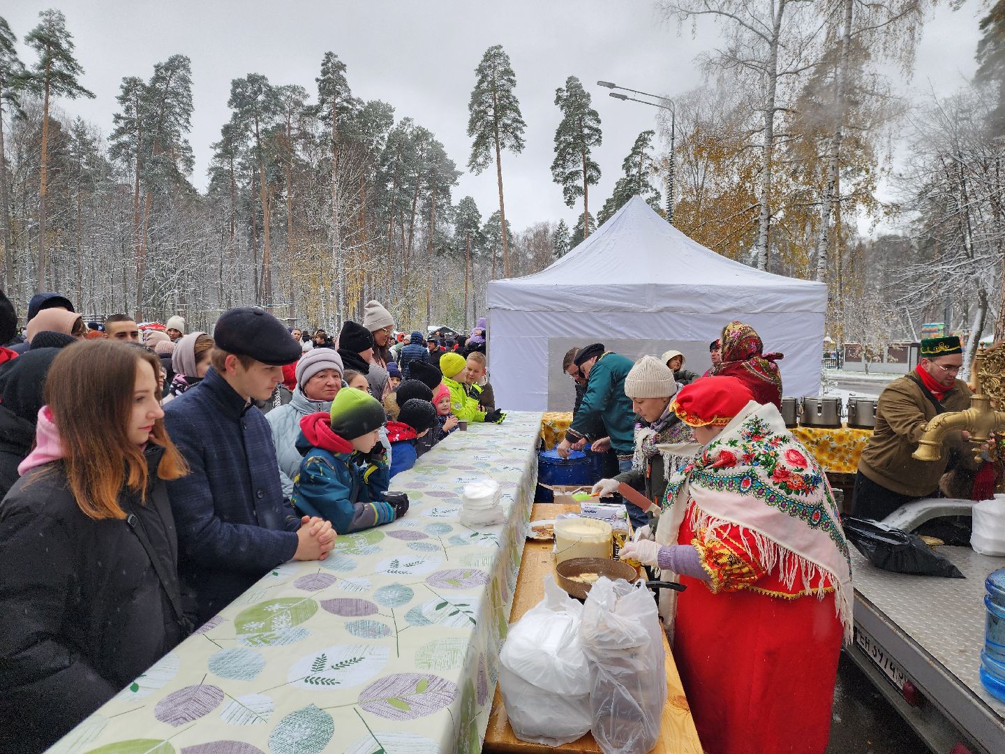 ногинск, жители, общество, центральный парк, праздний, самовар, день народного единства, чай, вертикалки