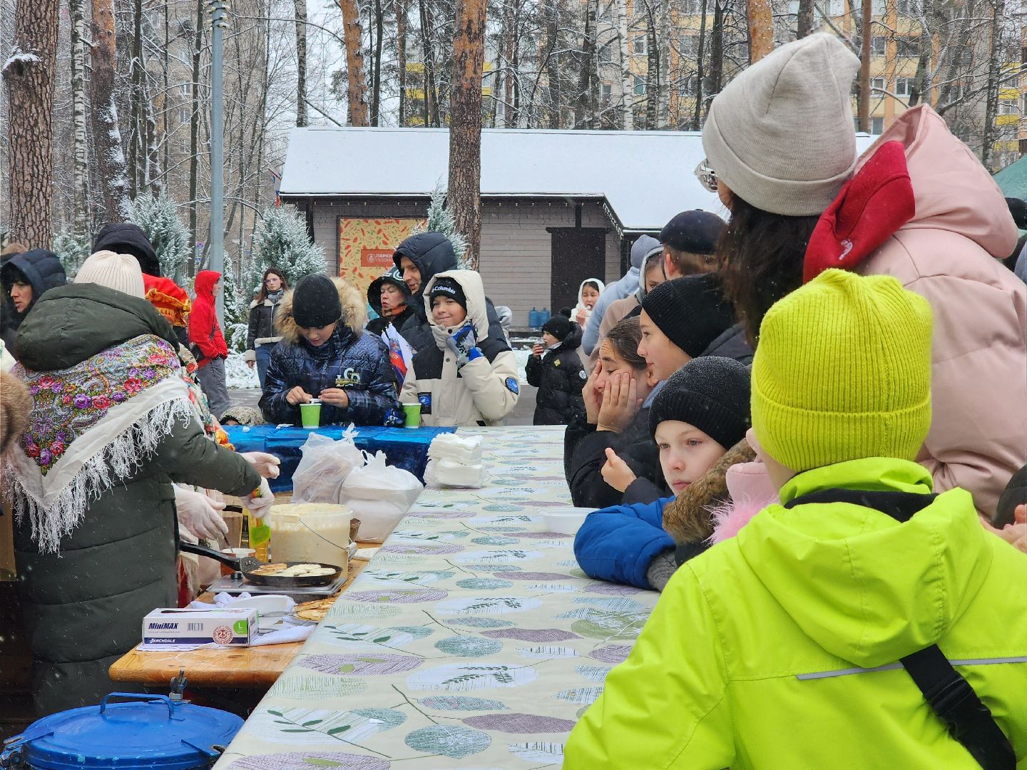 ногинск, жители, общество, центральный парк, праздний, самовар, день народного единства, чай, вертикалки
