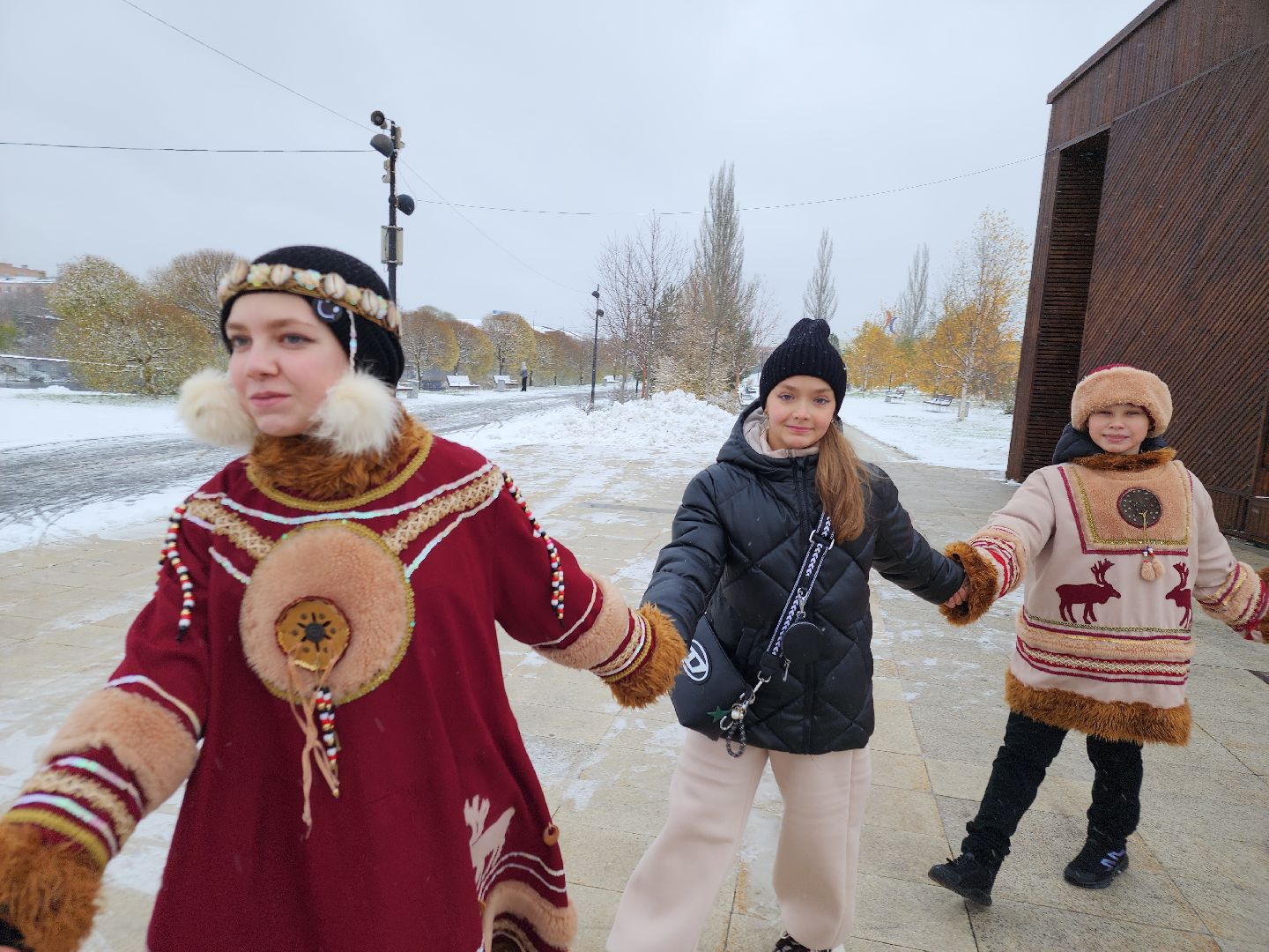 день народного единства, орехово зуево, вертикалки, шествие,
