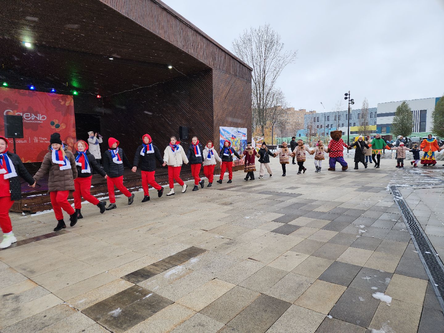 день народного единства, орехово зуево, вертикалки, шествие,
