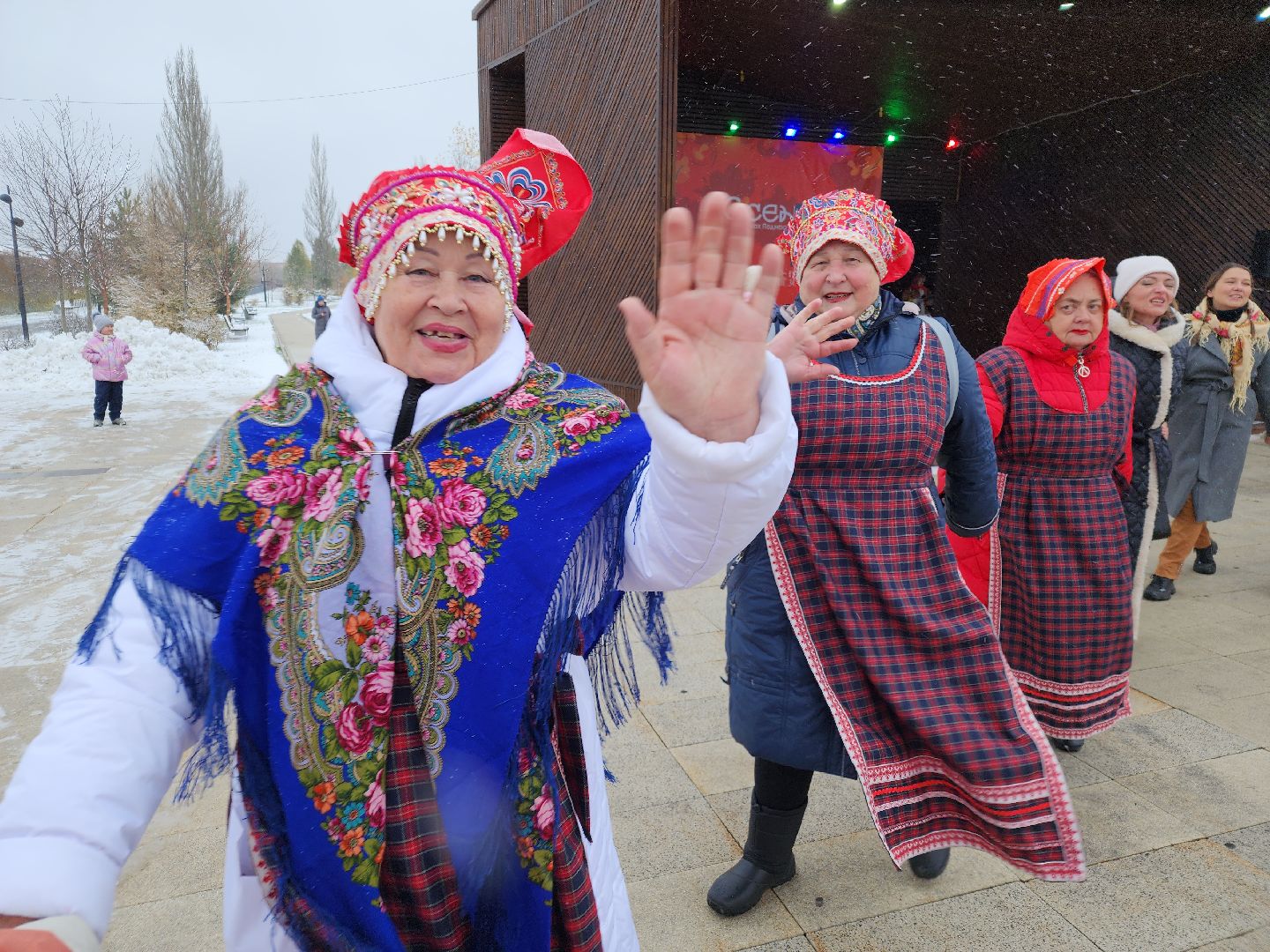 день народного единства, орехово зуево, вертикалки, шествие,