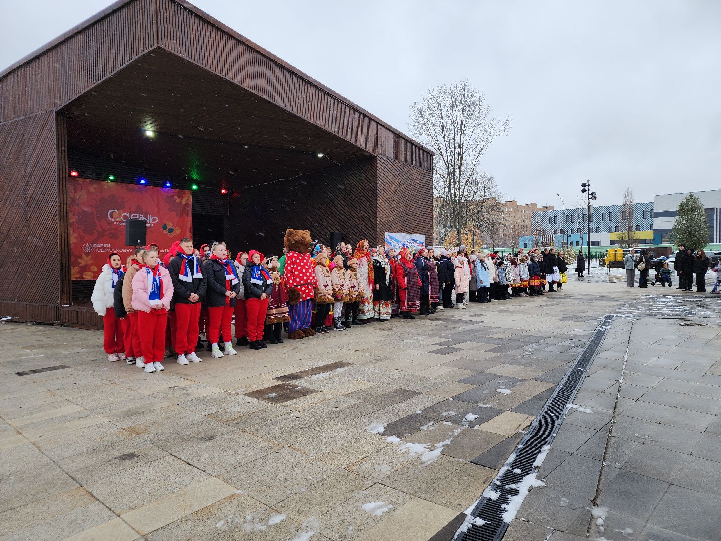 день народного единства, орехово зуево, вертикалки, шествие,