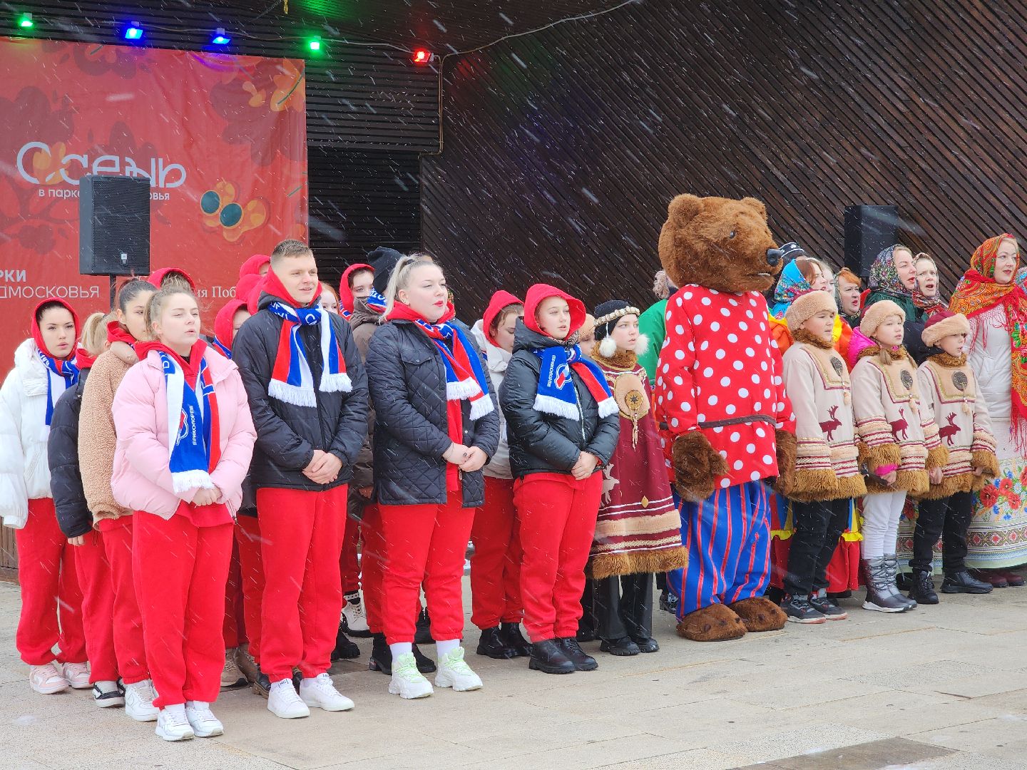 день народного единства, орехово зуево, вертикалки, шествие,