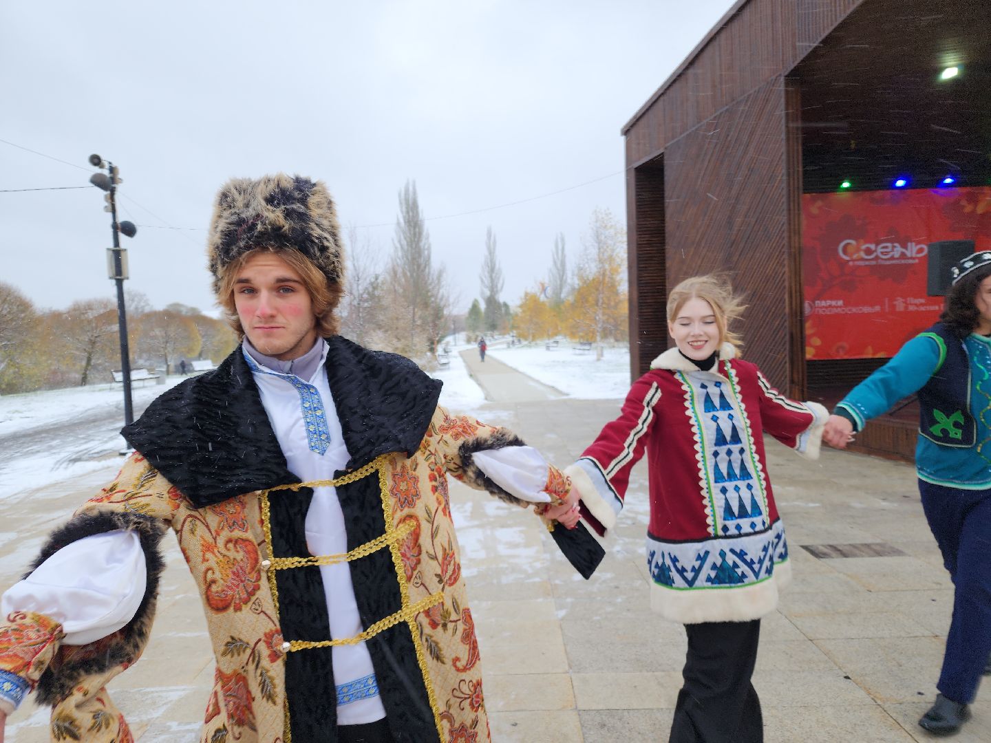 день народного единства, орехово зуево, вертикалки, шествие,