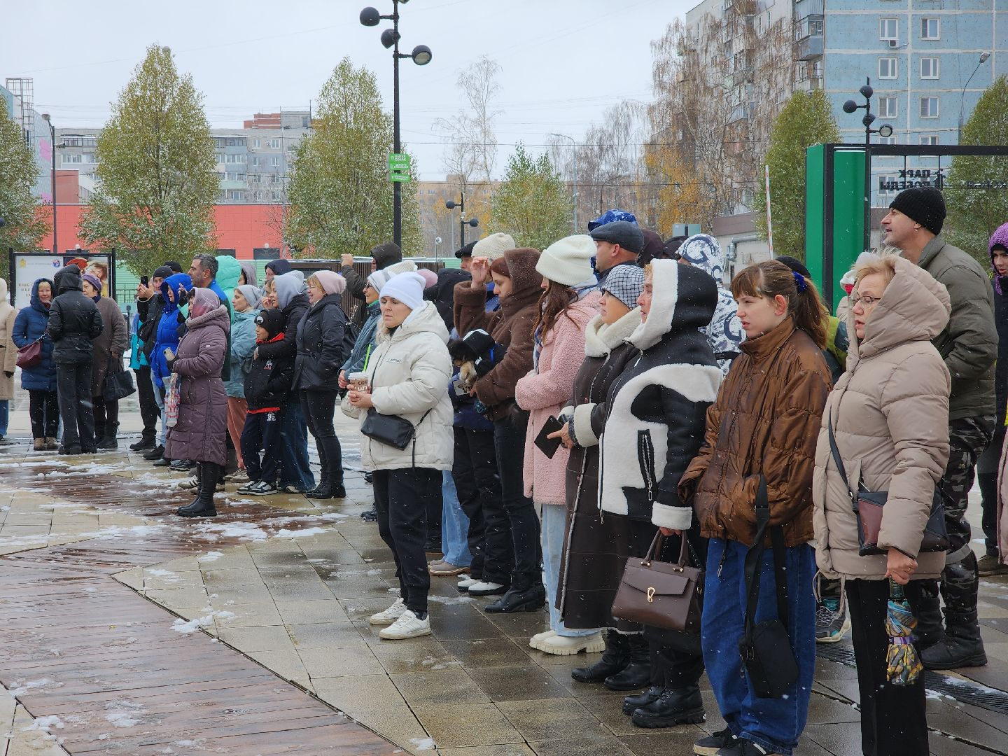 день народного единства, орехово зуево, вертикалки, шествие,