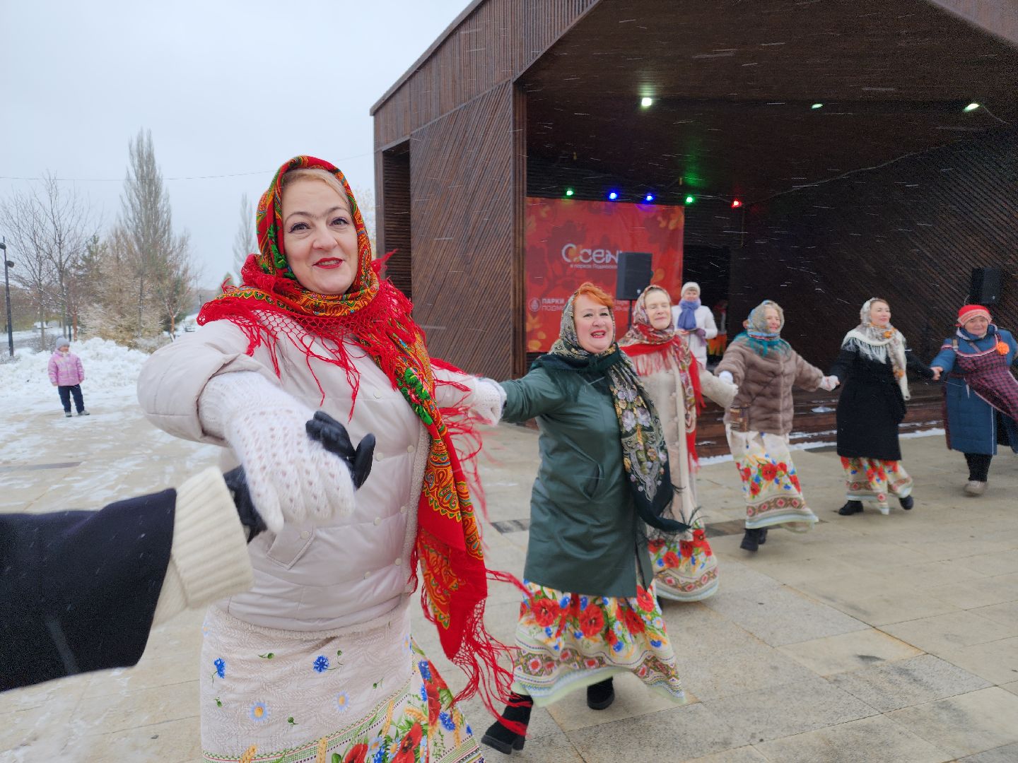 день народного единства, орехово зуево, вертикалки, шествие,