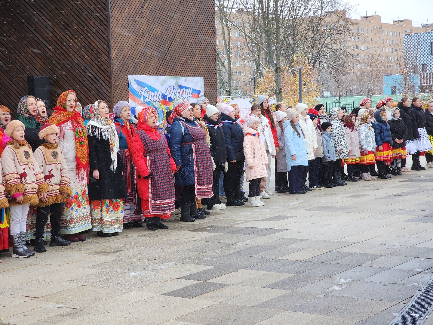день народного единства, орехово зуево, вертикалки, шествие,