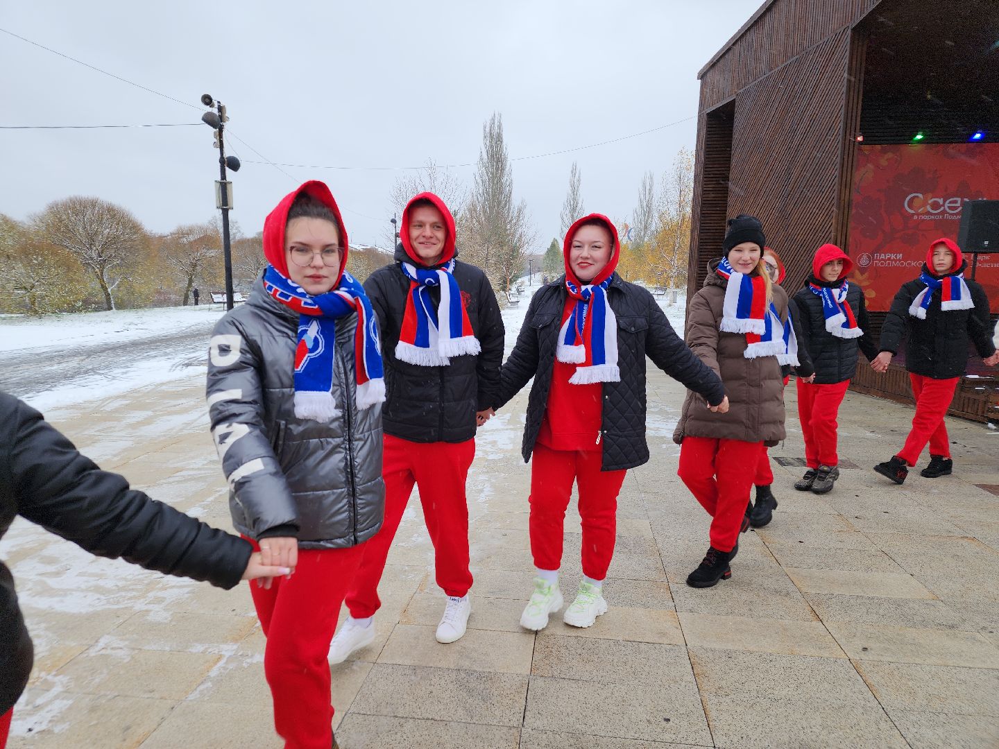 день народного единства, орехово зуево, вертикалки, шествие,