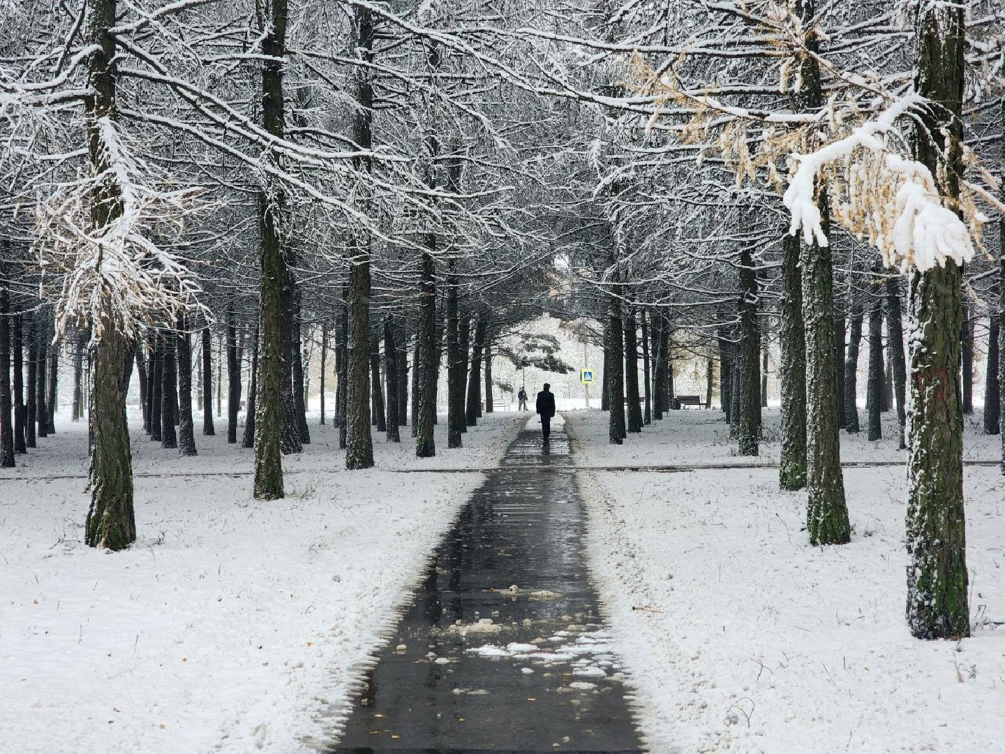 пущино, серпухов, снегопад, вертикалки,