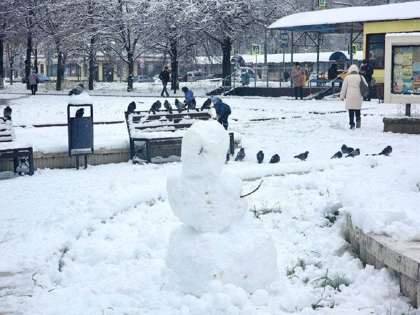 пущино, серпухов, снегопад, вертикалки,