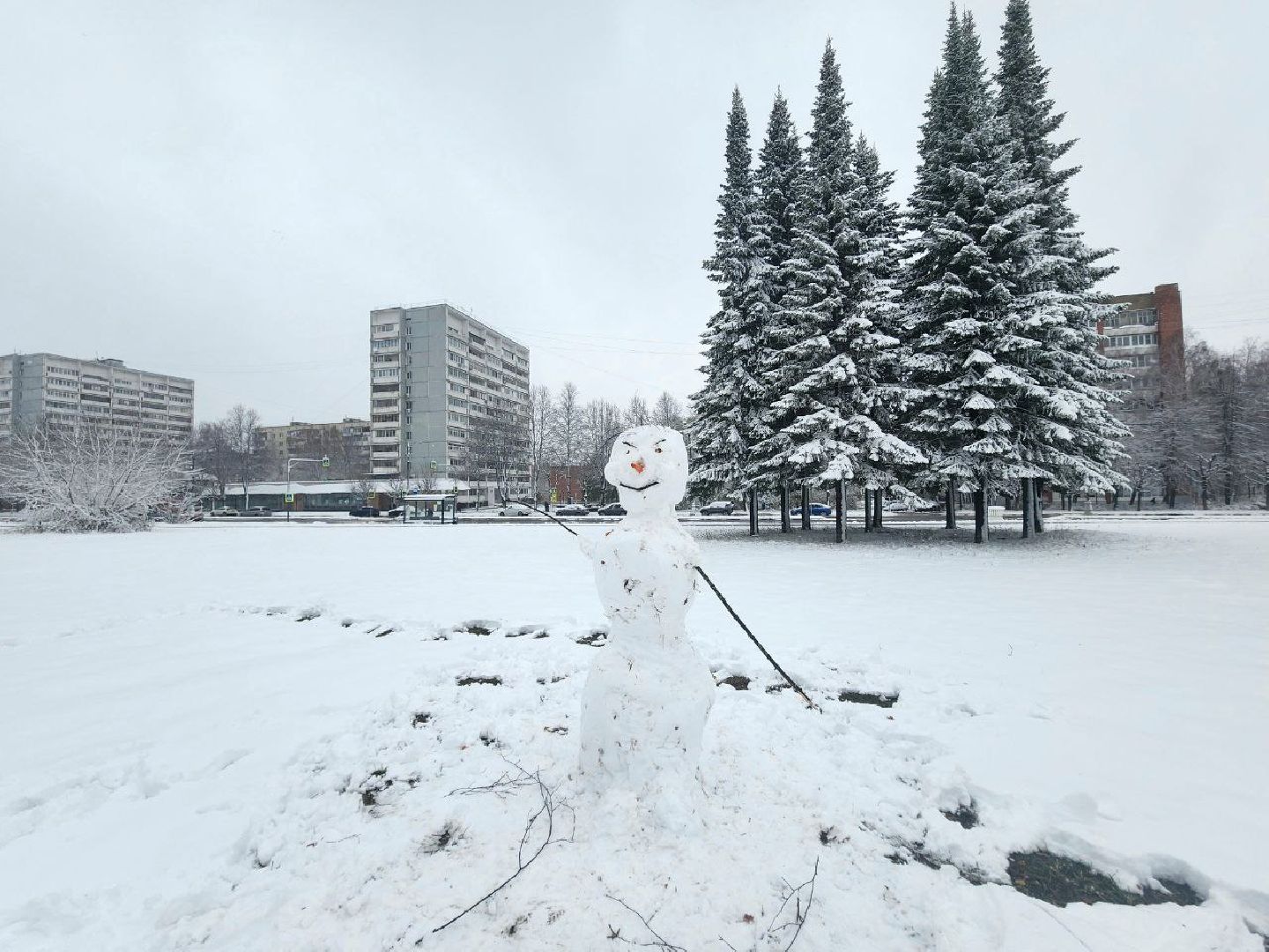 пущино, серпухов, снегопад, вертикалки,