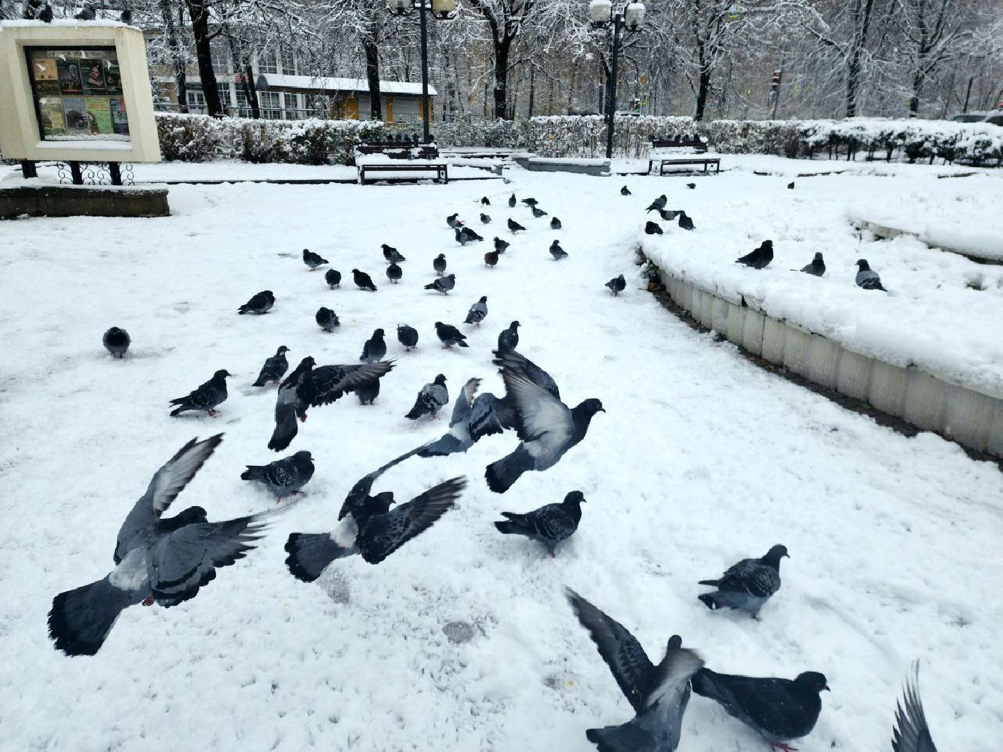 пущино, серпухов, снегопад, вертикалки,