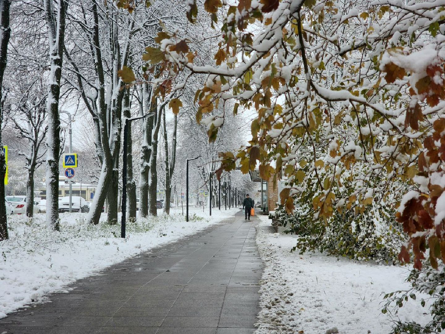 пущино, серпухов, снегопад, вертикалки,