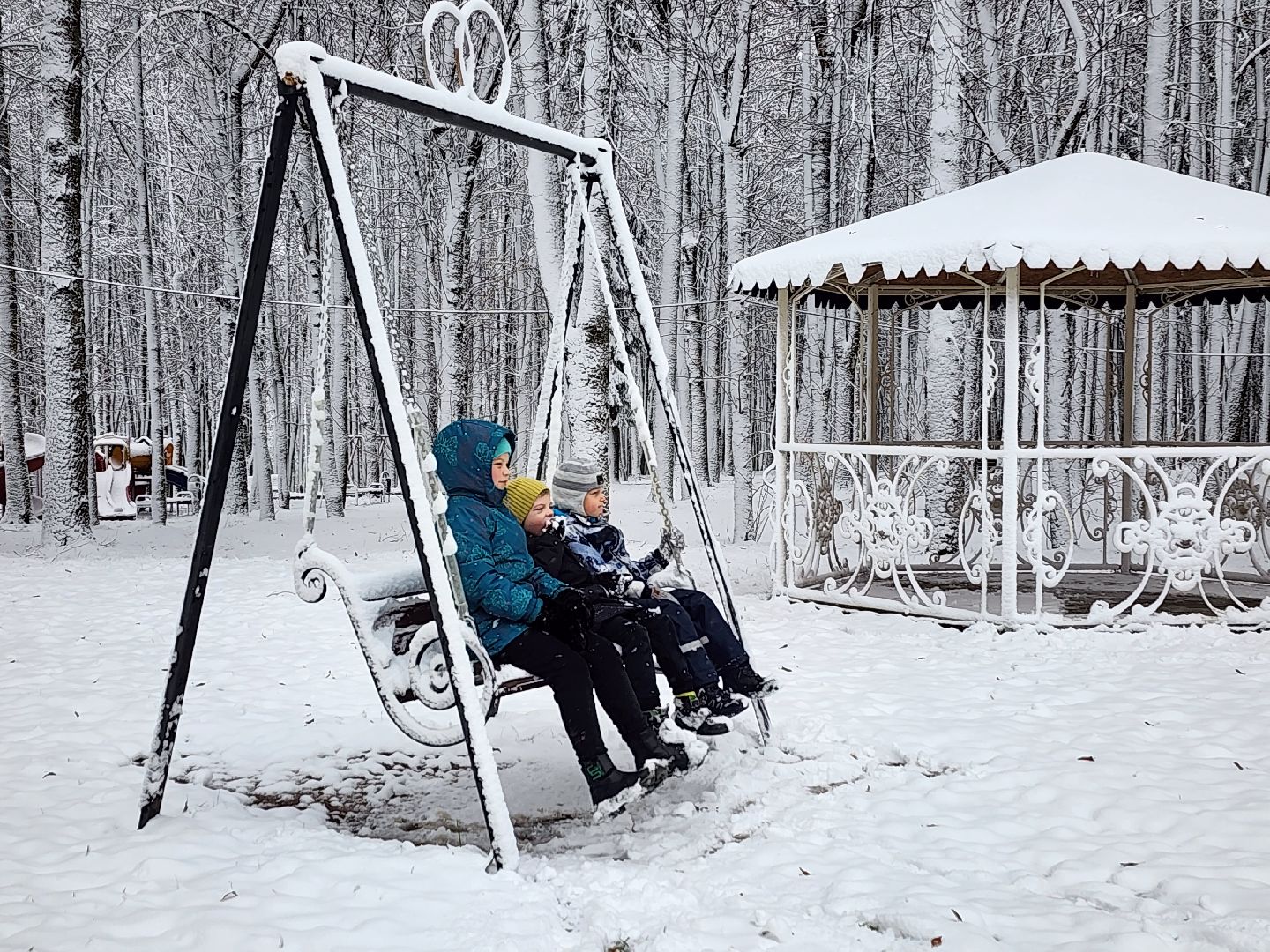 волоколамск, день народно единства, праздник, Парк,