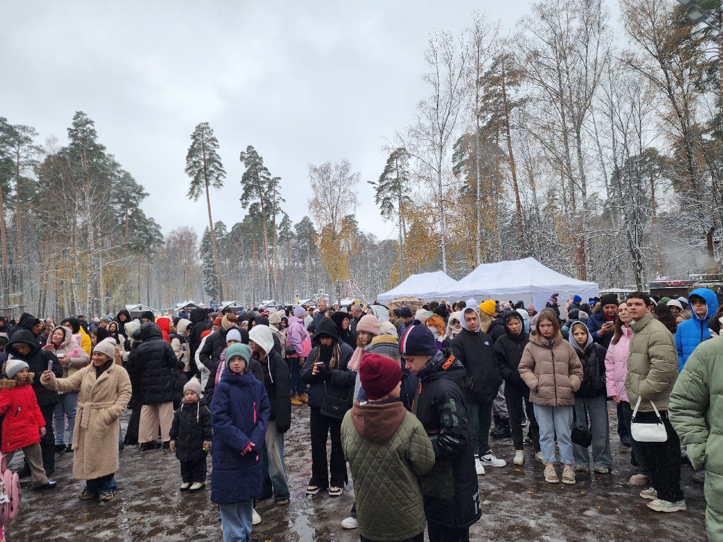 ногинск, жители, общество, праздник, еда, чай, концерт, день народного единства, парки богородского округа, вертикалки