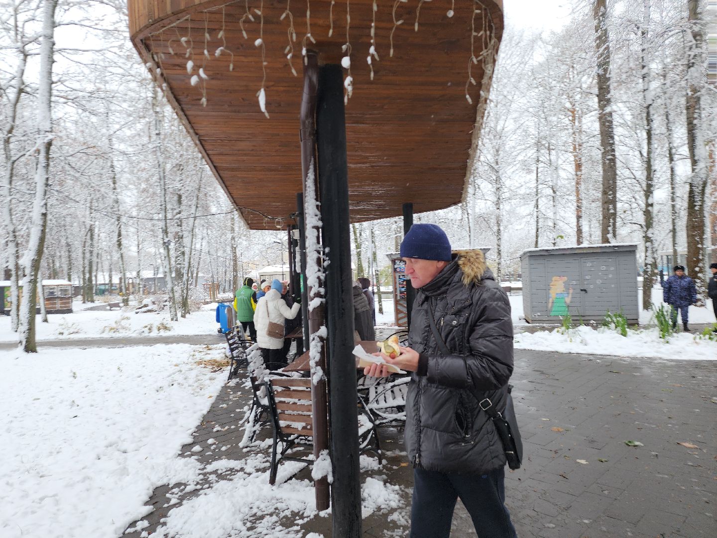 серпухов, подмосковье, парк имени олега степанова, парки подмосковья, день народного единства, вертикалка,