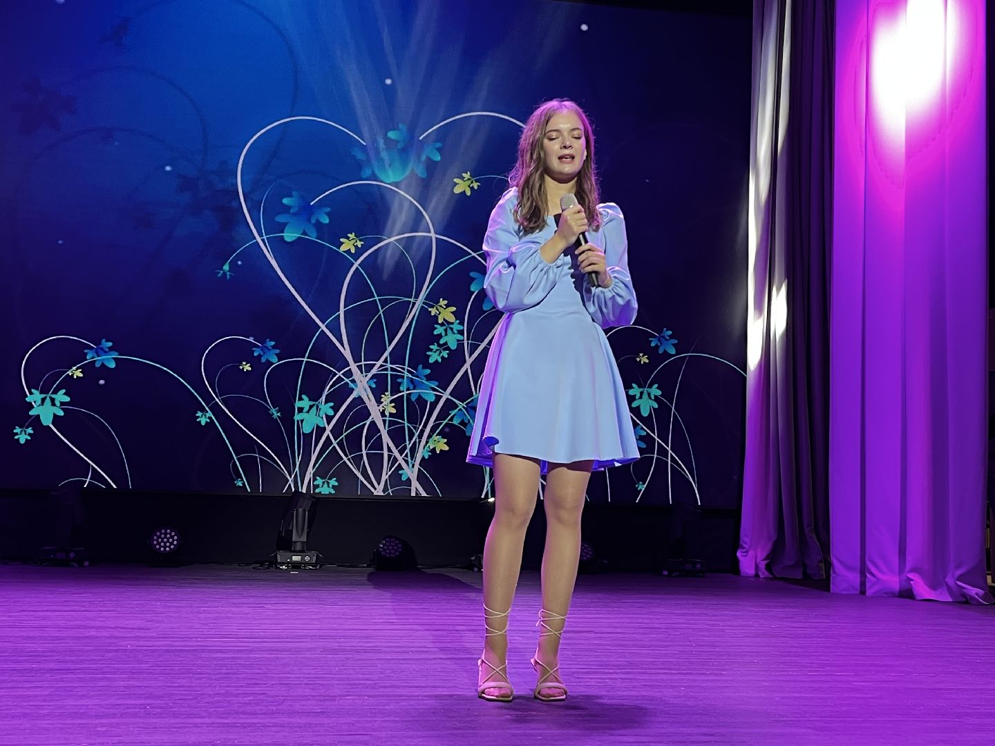 волоколамск, день народно единства, Родники, гала-концерт,