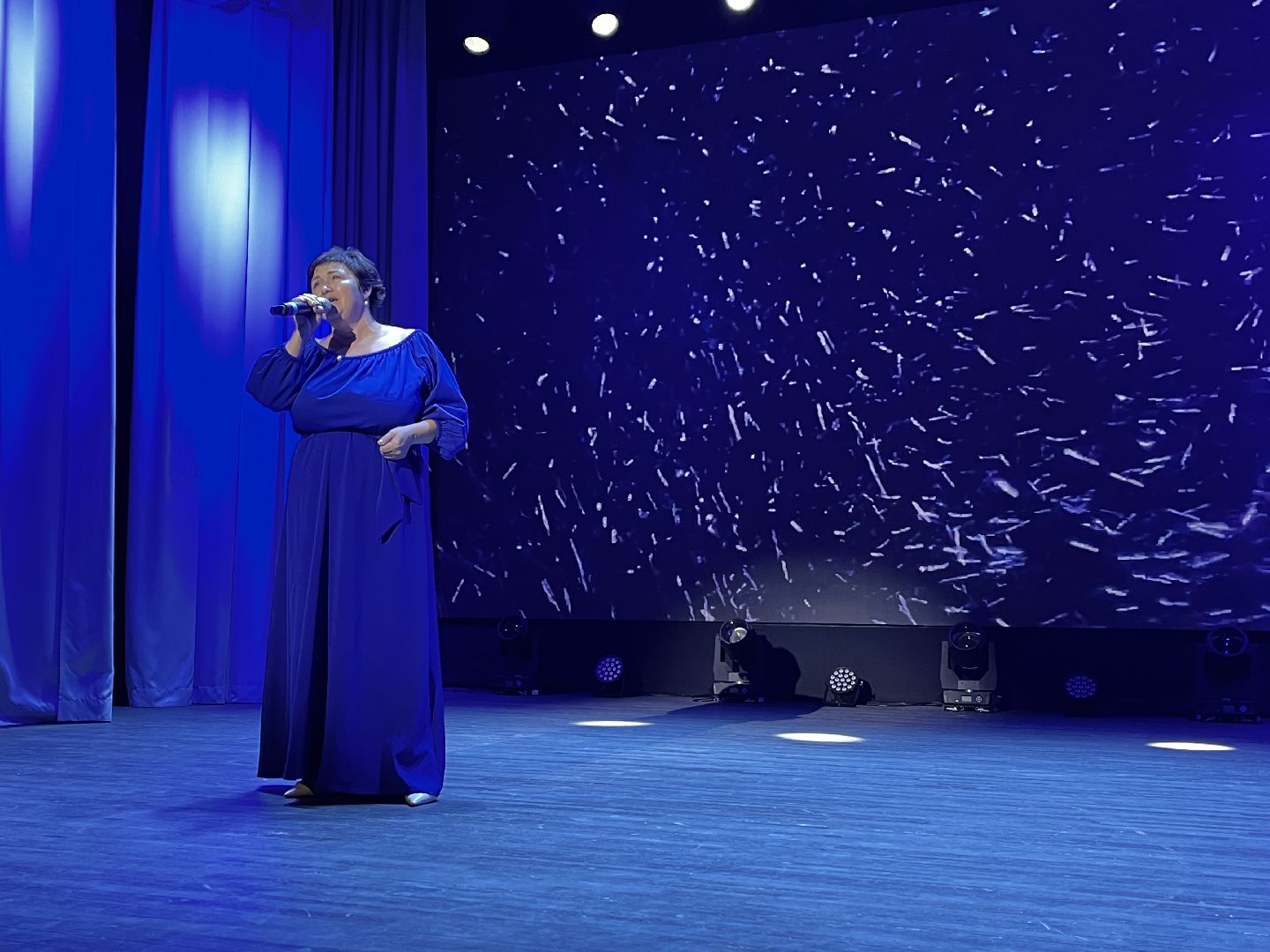 волоколамск, день народно единства, Родники, гала-концерт,