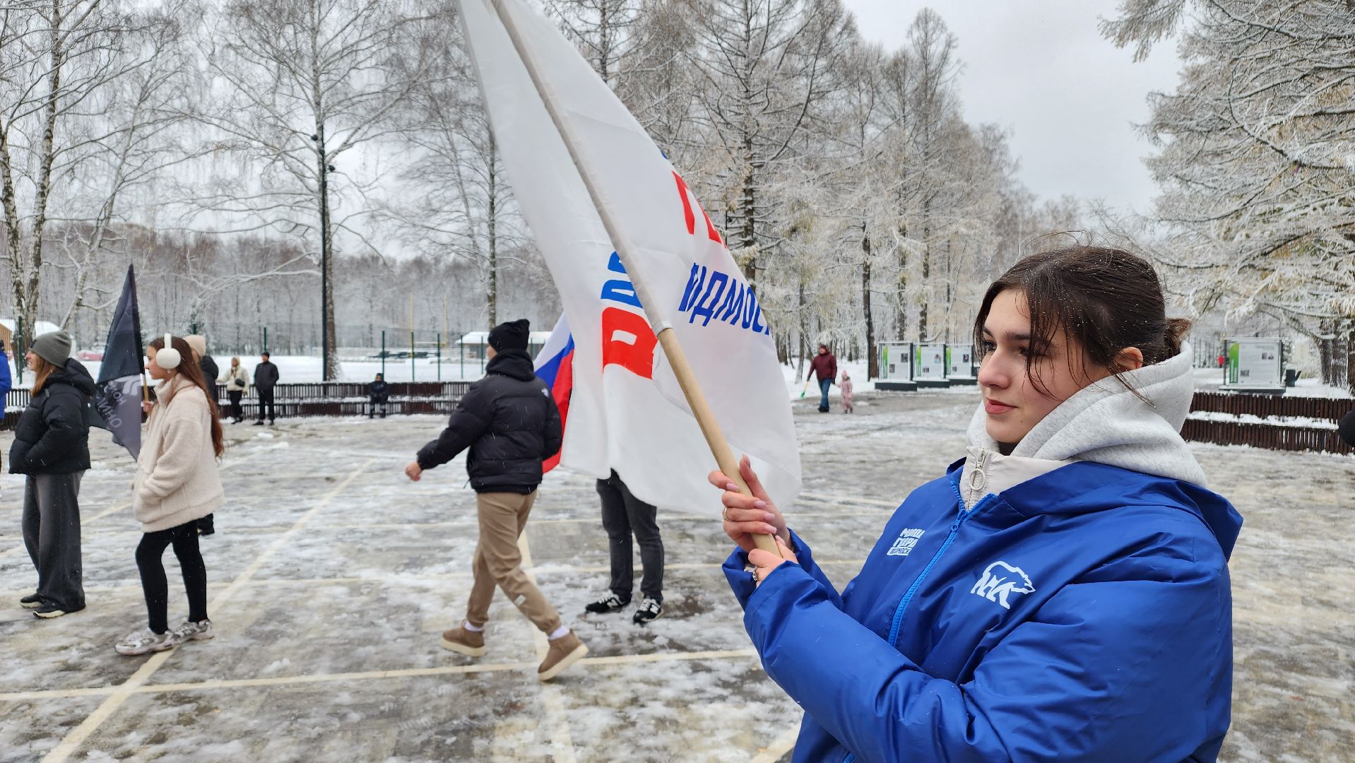 ступино, день народного единства, парки подмосковья, вертикалка,