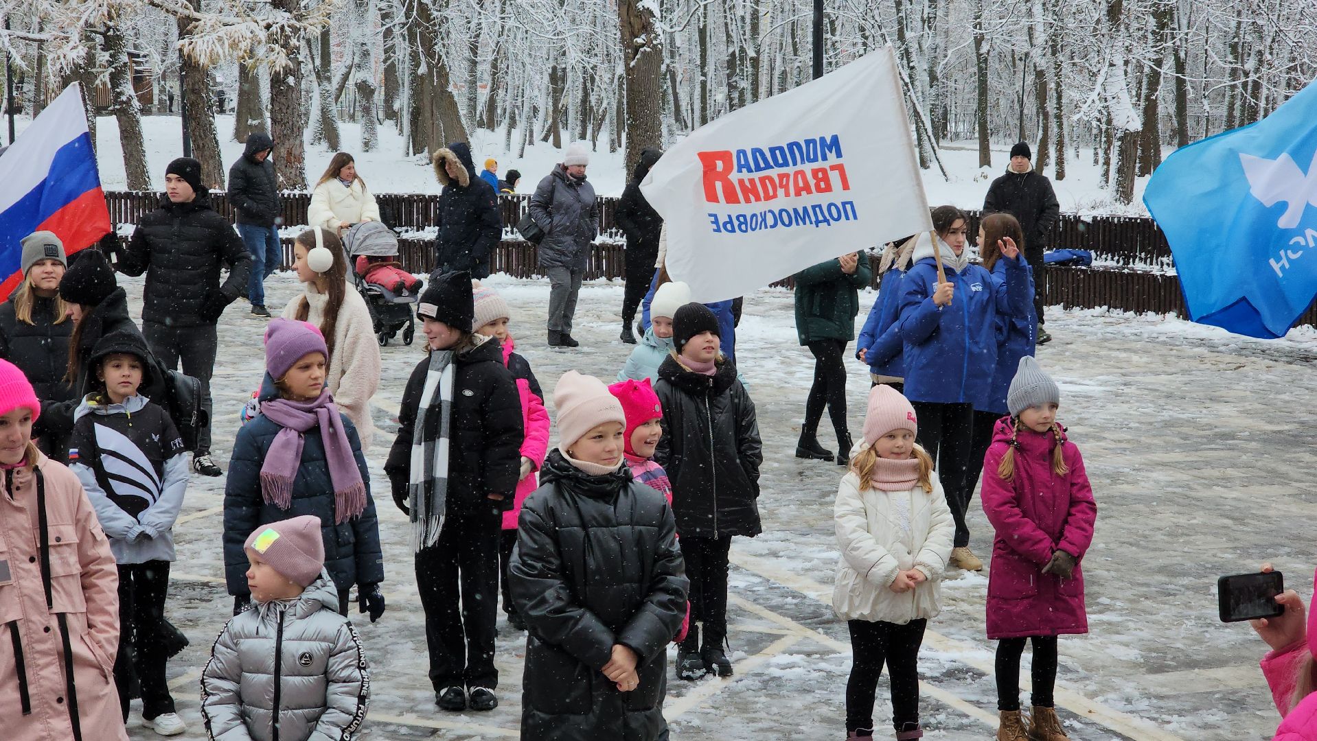 ступино, день народного единства, парки подмосковья, вертикалка,