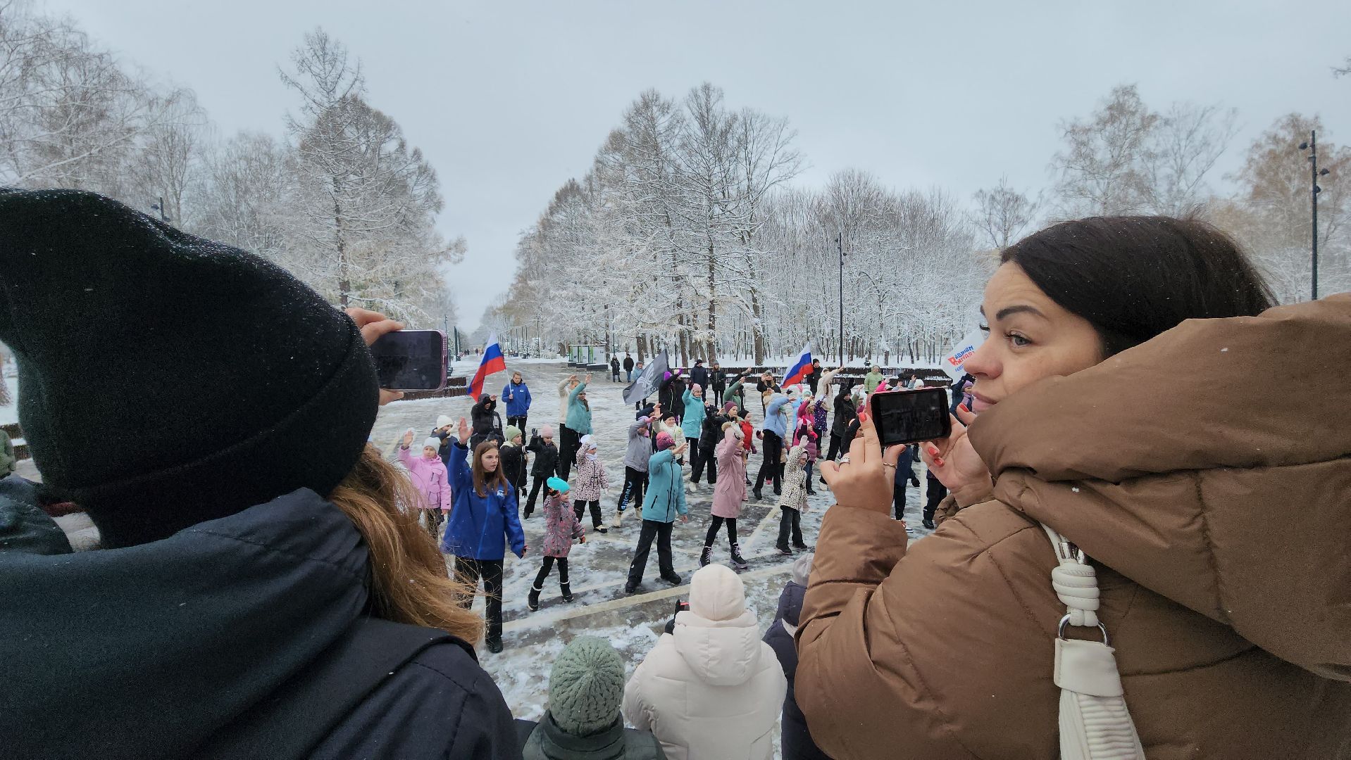 ступино, день народного единства, парки подмосковья, вертикалка,