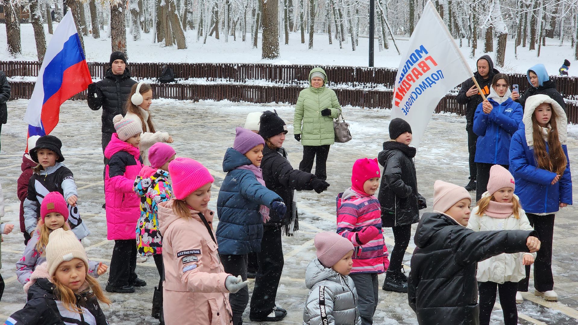 ступино, день народного единства, парки подмосковья, вертикалка,