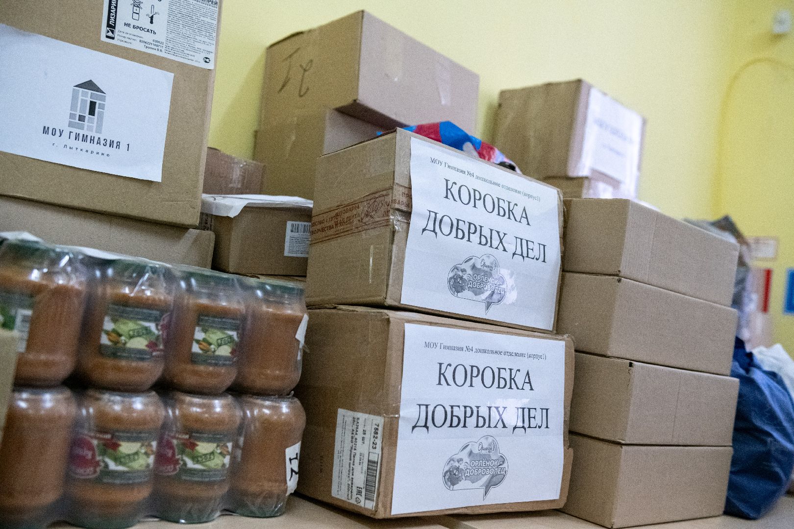 лыткарино, общество, день народного единства, гуманитарная помощь курск, вертикалка,