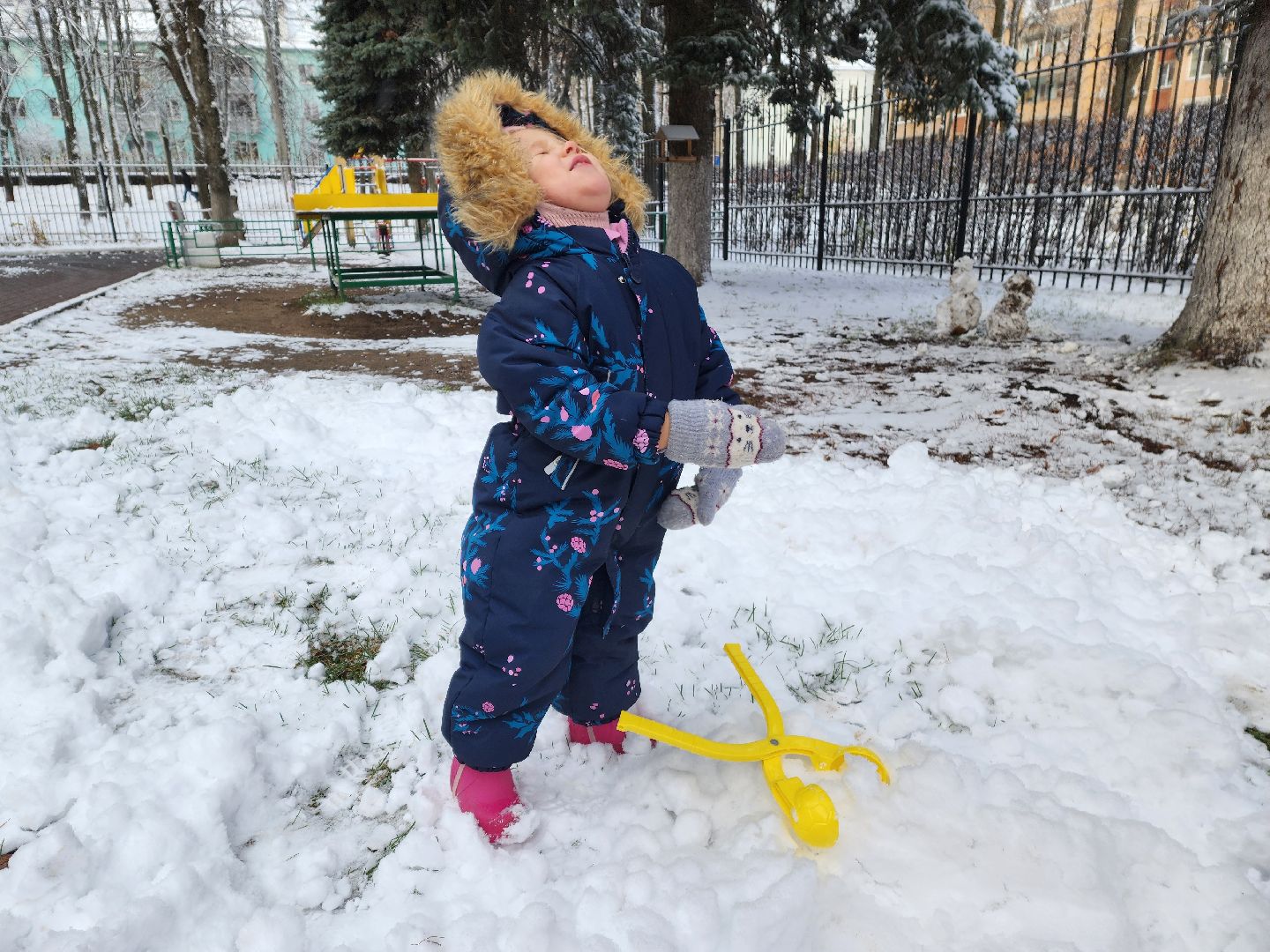 красноармейск, городской округ пушкинский, день народного единства, первый снег,вертикалки,