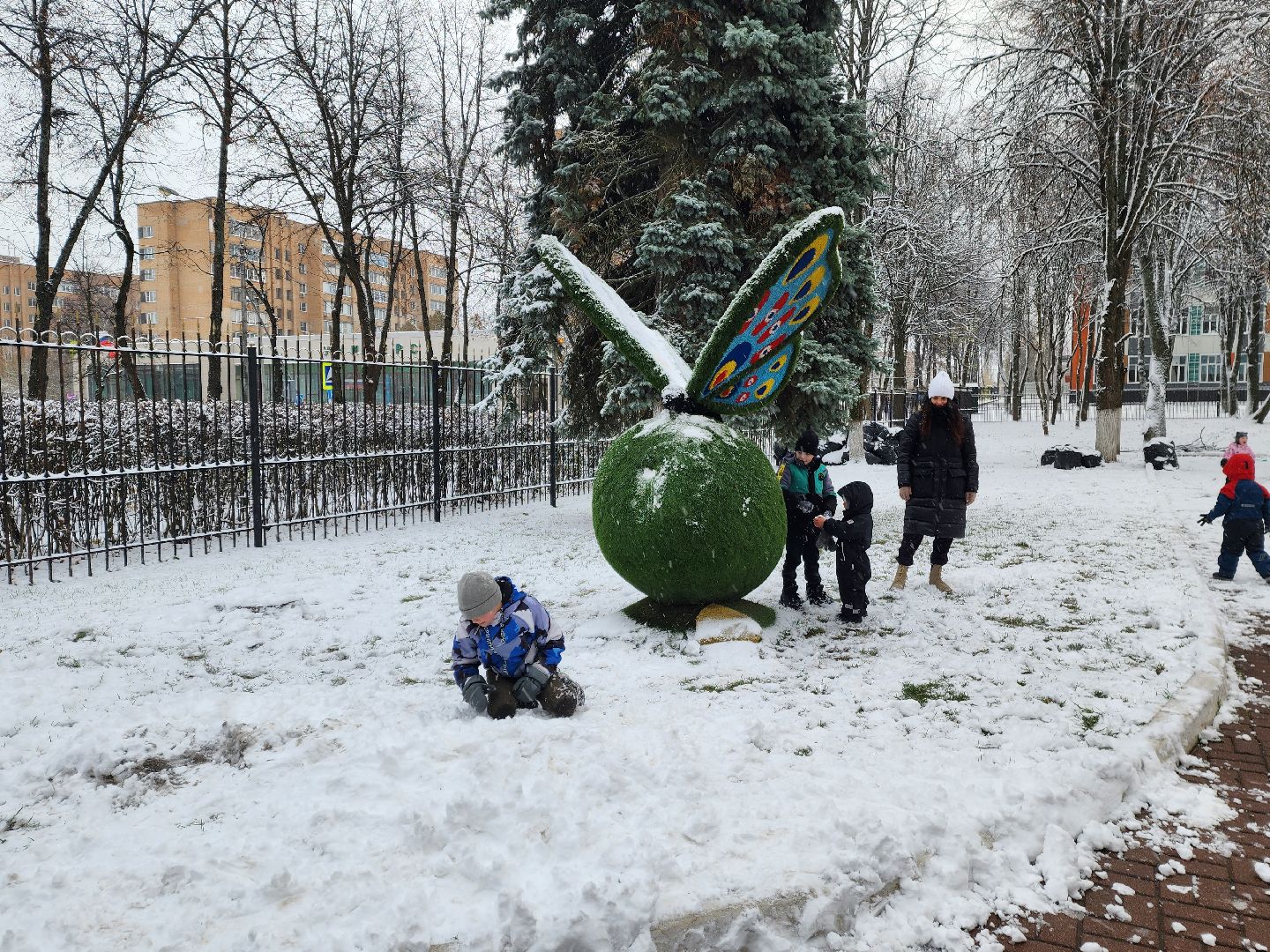 красноармейск, городской округ пушкинский, день народного единства, первый снег,вертикалки,