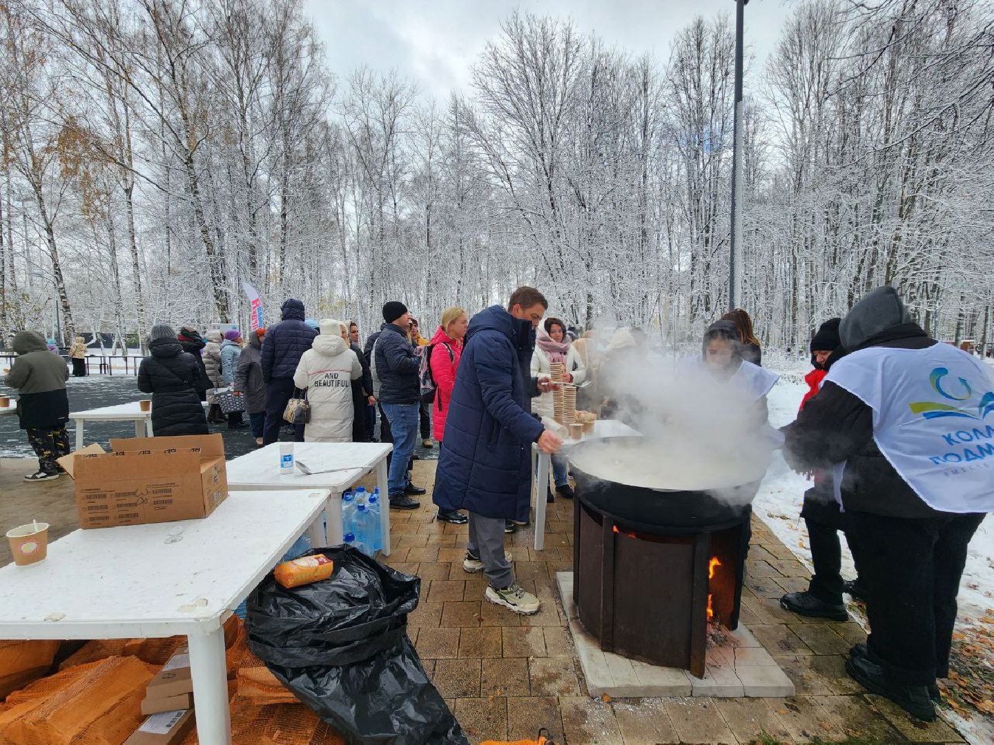 Солнечногорск, день народно единства, праздник, Жители, Уха, вертикалки,