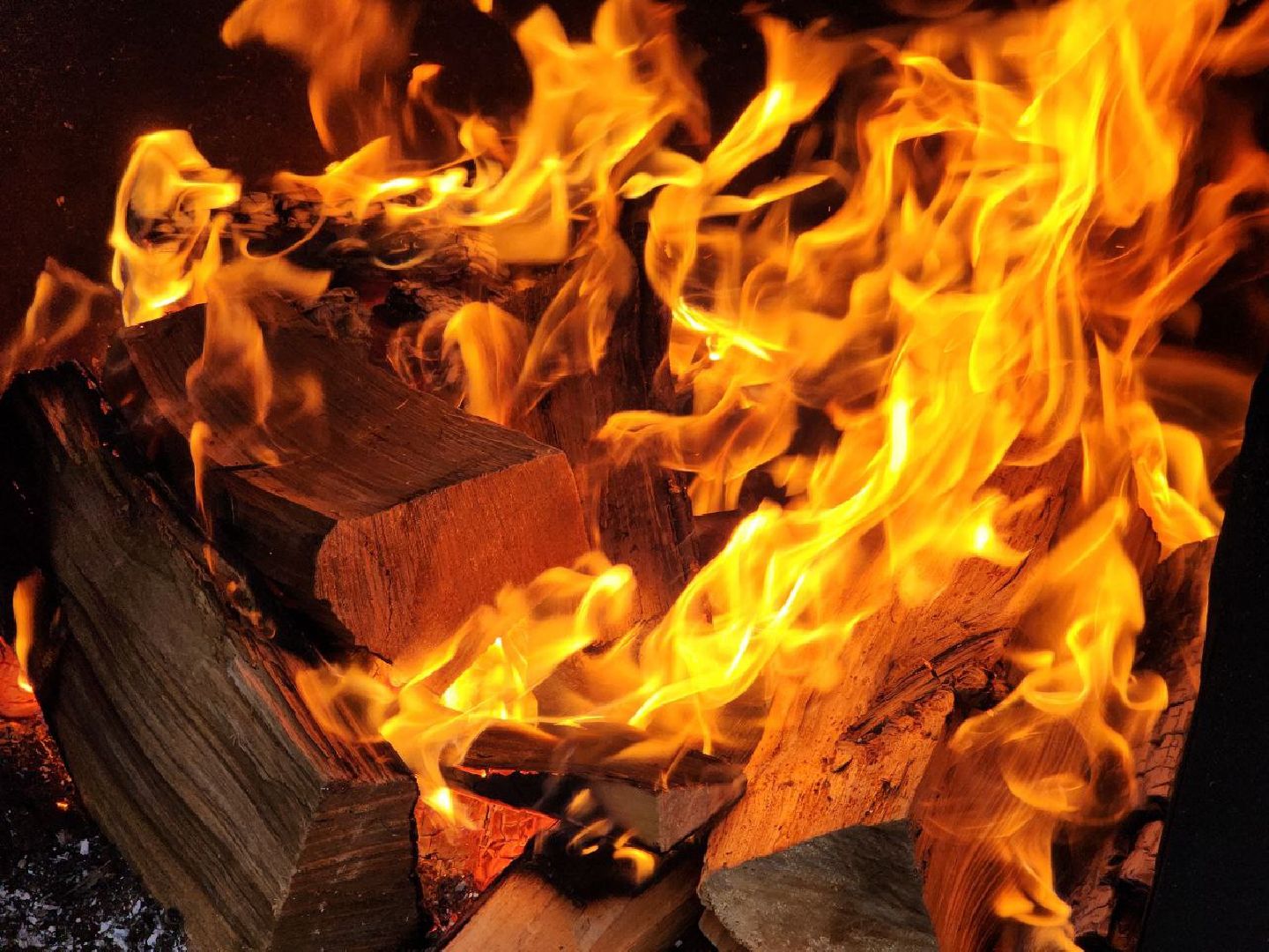 Солнечногорск, день народно единства, праздник, Жители, Уха, вертикалки,