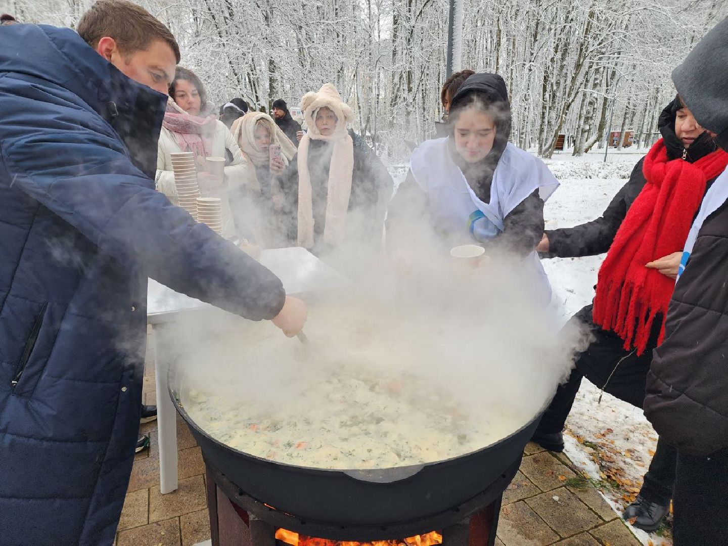 Солнечногорск, день народно единства, праздник, Жители, Уха, вертикалки,