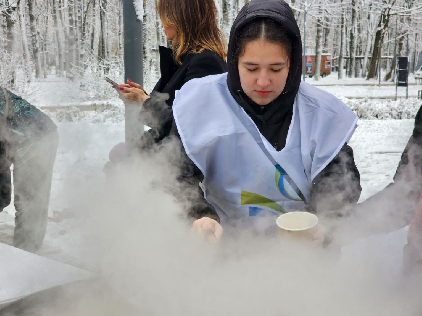 Солнечногорск, день народно единства, праздник, Жители, Уха, вертикалки,