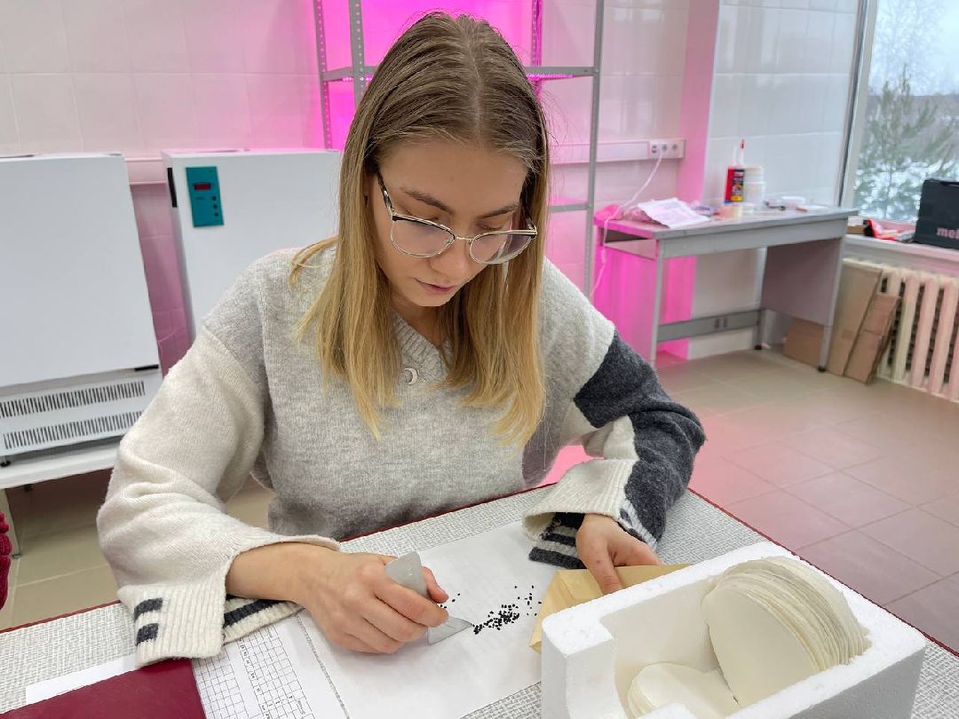 Наука, ВНИИСОК, Овощеводство, Молодые учёные, Одинцово