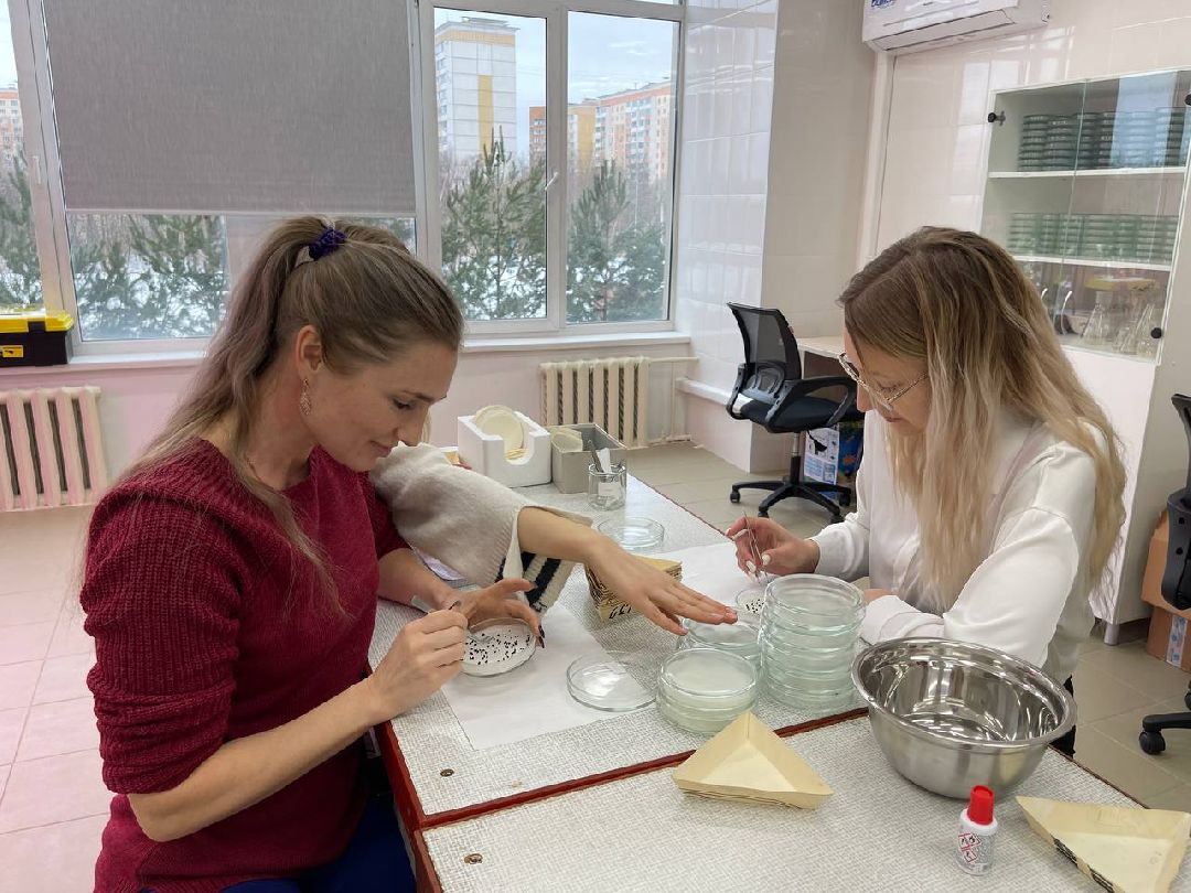 Наука, ВНИИСОК, Овощеводство, Молодые учёные, Одинцово