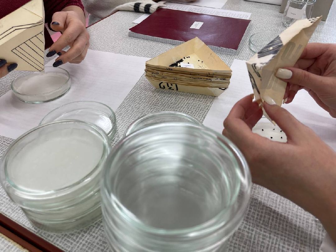 Наука, ВНИИСОК, Овощеводство, Молодые учёные, Одинцово