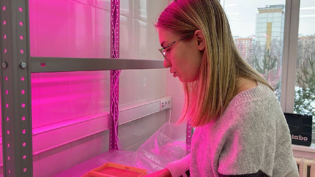 Наука, ВНИИСОК, Овощеводство, Молодые учёные, Одинцово