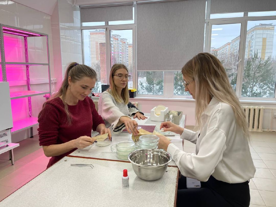 Наука, ВНИИСОК, Овощеводство, Молодые учёные, Одинцово