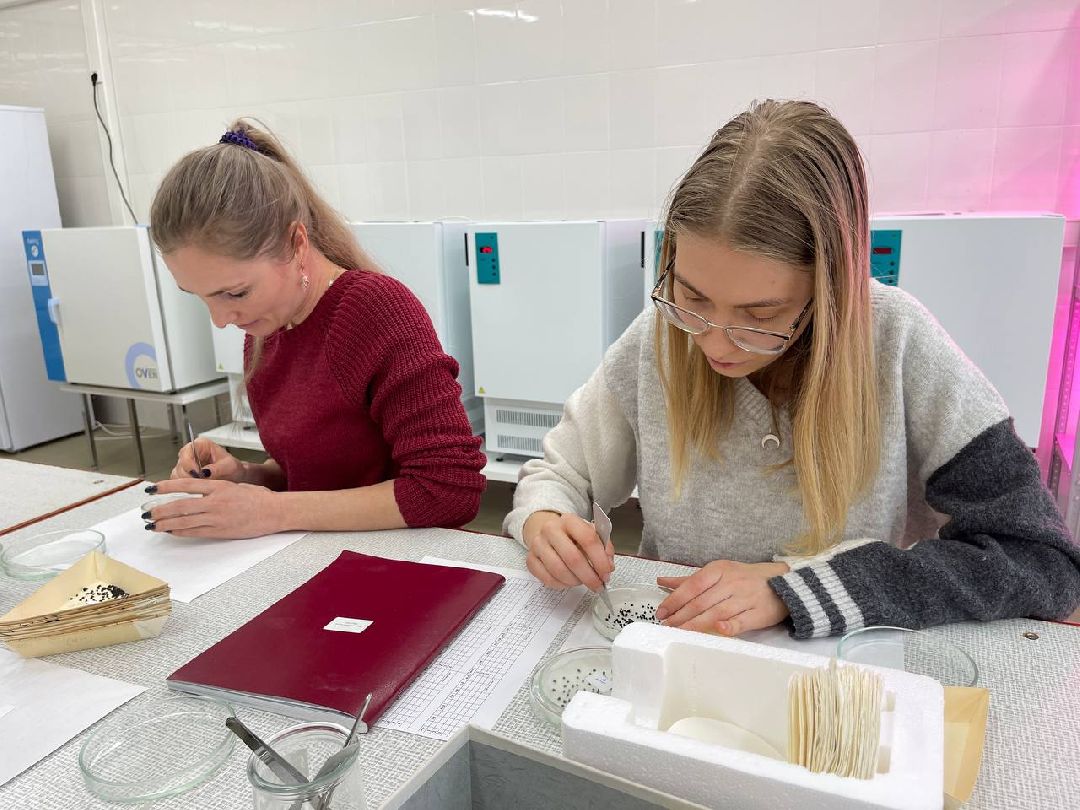 Наука, ВНИИСОК, Овощеводство, Молодые учёные, Одинцово