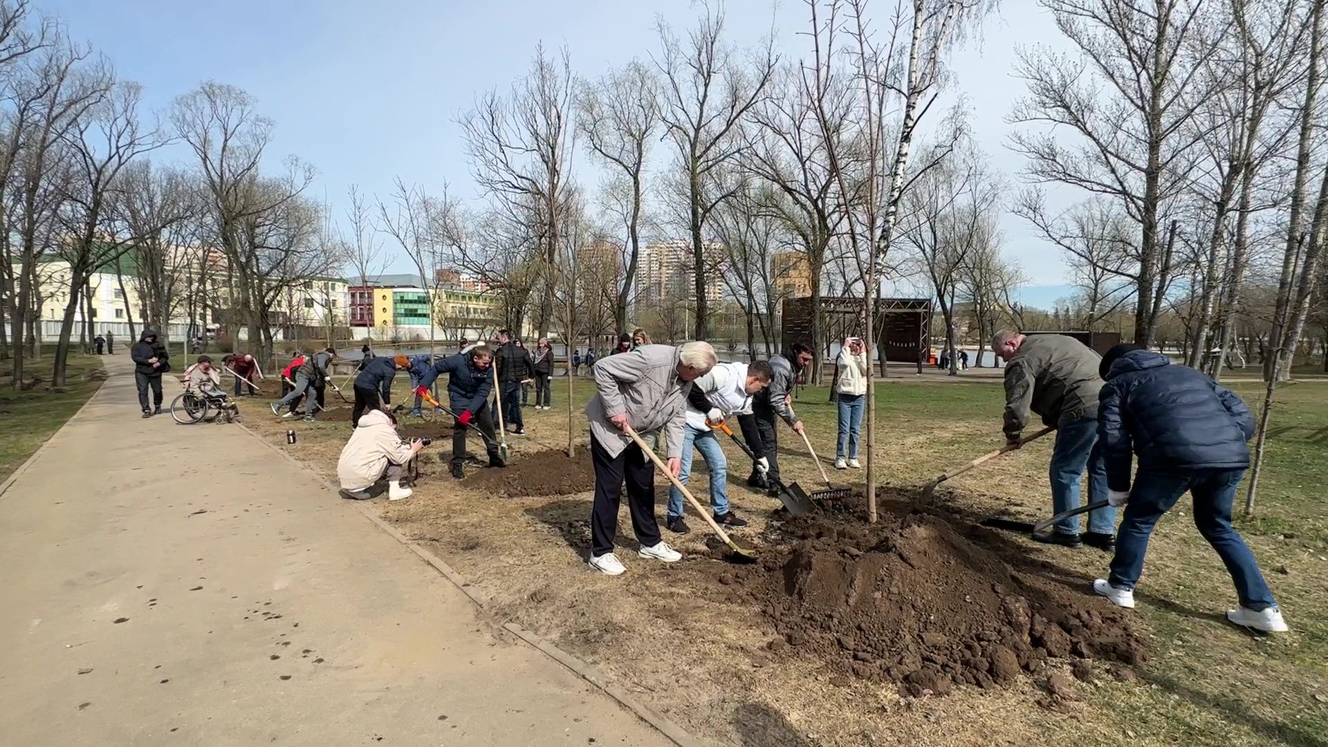Реутов, высадка деревьев, клёны, Фабричный пруд