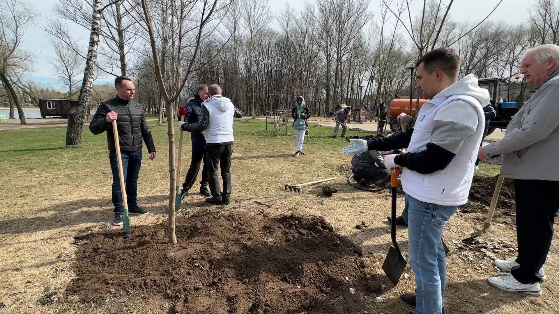 Реутов, высадка деревьев, клёны, Фабричный пруд