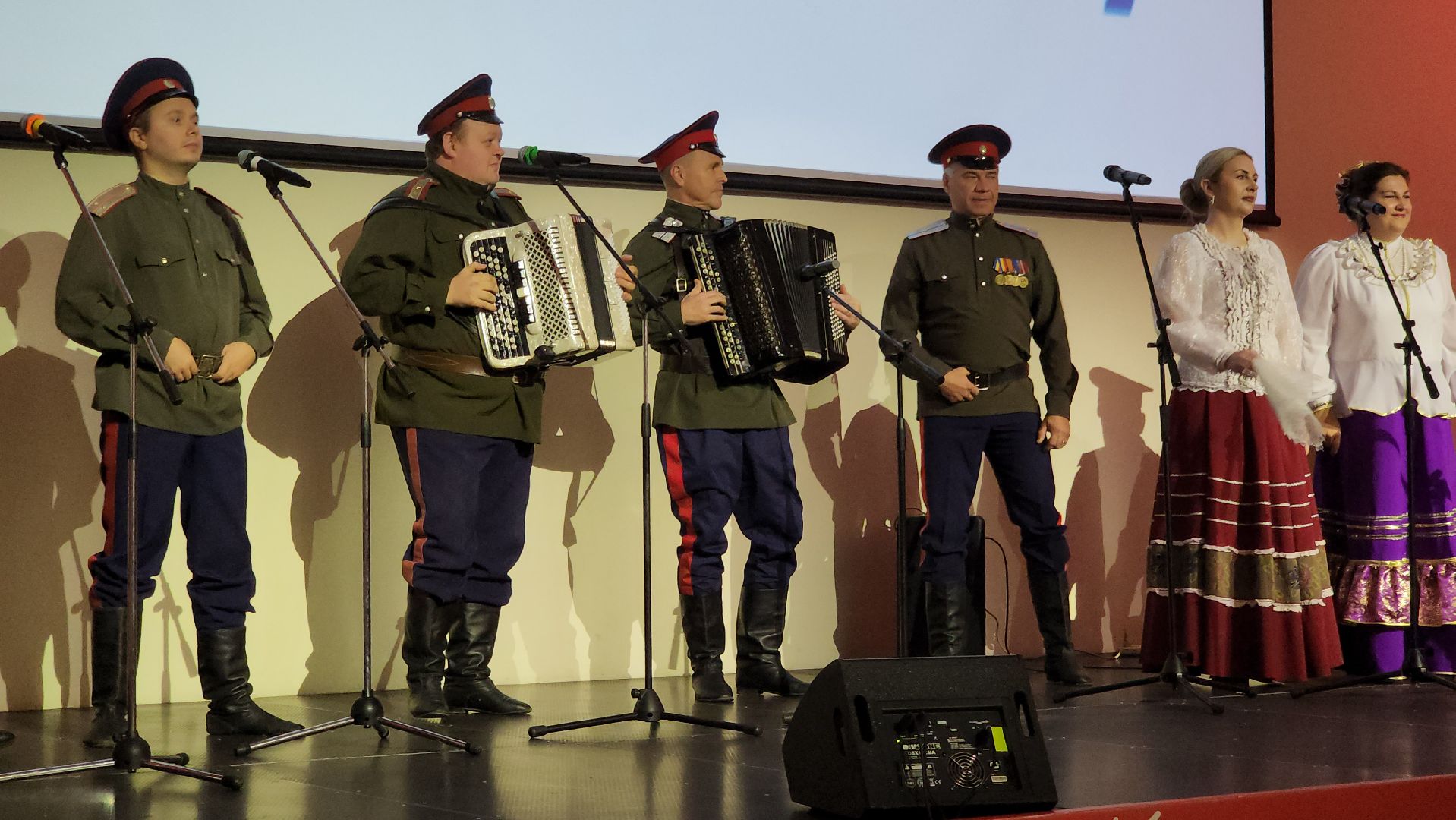 красногорск, день народного единства,вертикалка, Вертикальное видео, концерт,