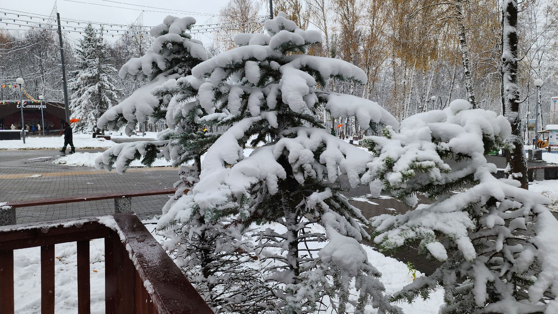 кашира, парк, день народного единства, вертикалка,