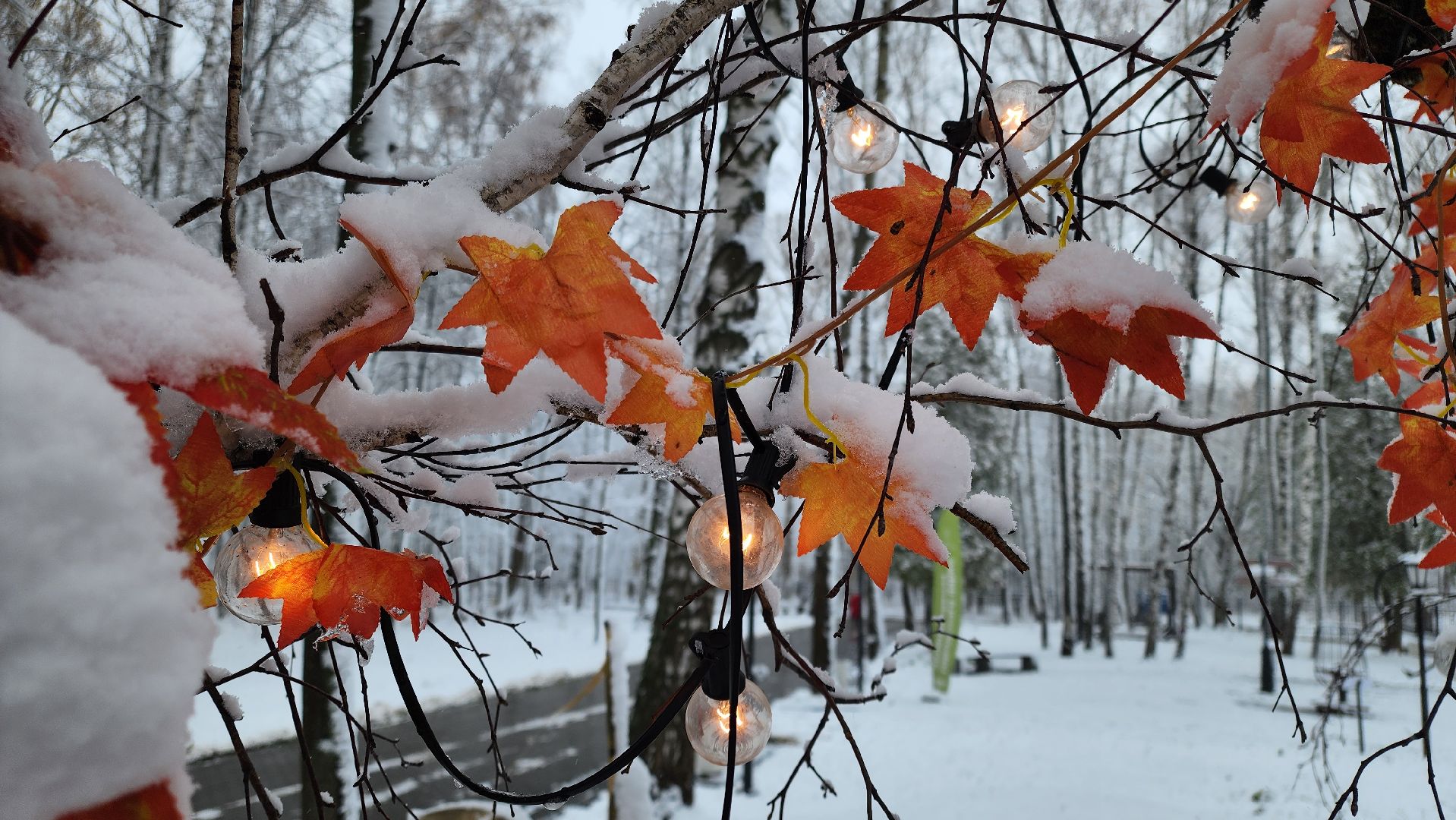 кашира, парк, день народного единства, вертикалка,