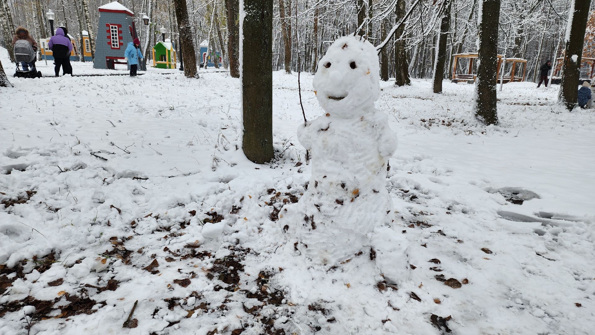 кашира, парк, день народного единства, вертикалка,
